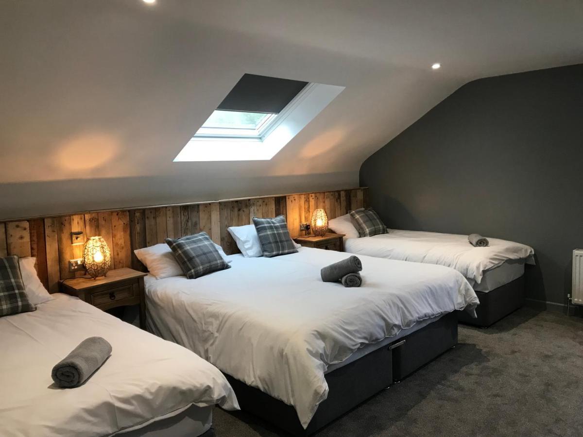 Rostrevor Mountain Lodge - Glamping Pods - Revive Sauna & Hot Tubs Kültér fotó