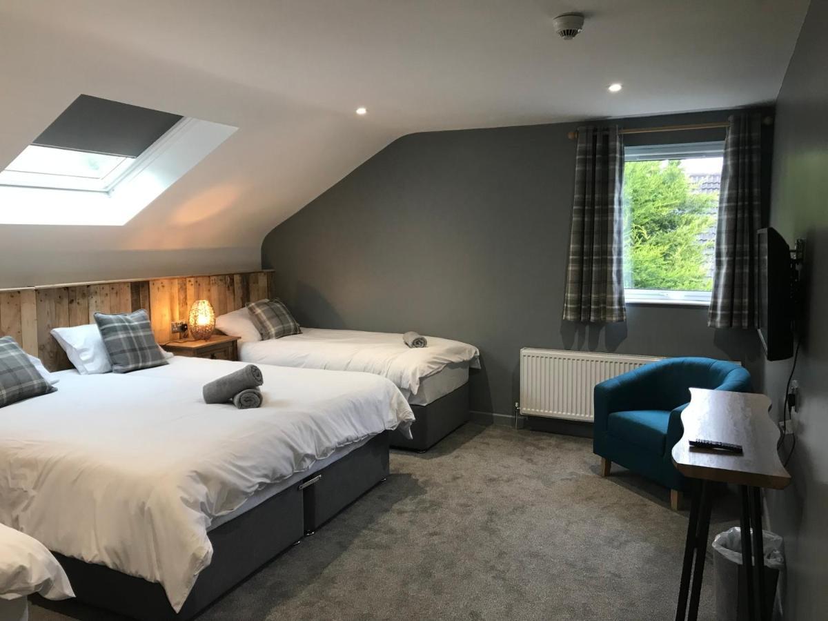 Rostrevor Mountain Lodge - Glamping Pods - Revive Sauna & Hot Tubs Kültér fotó